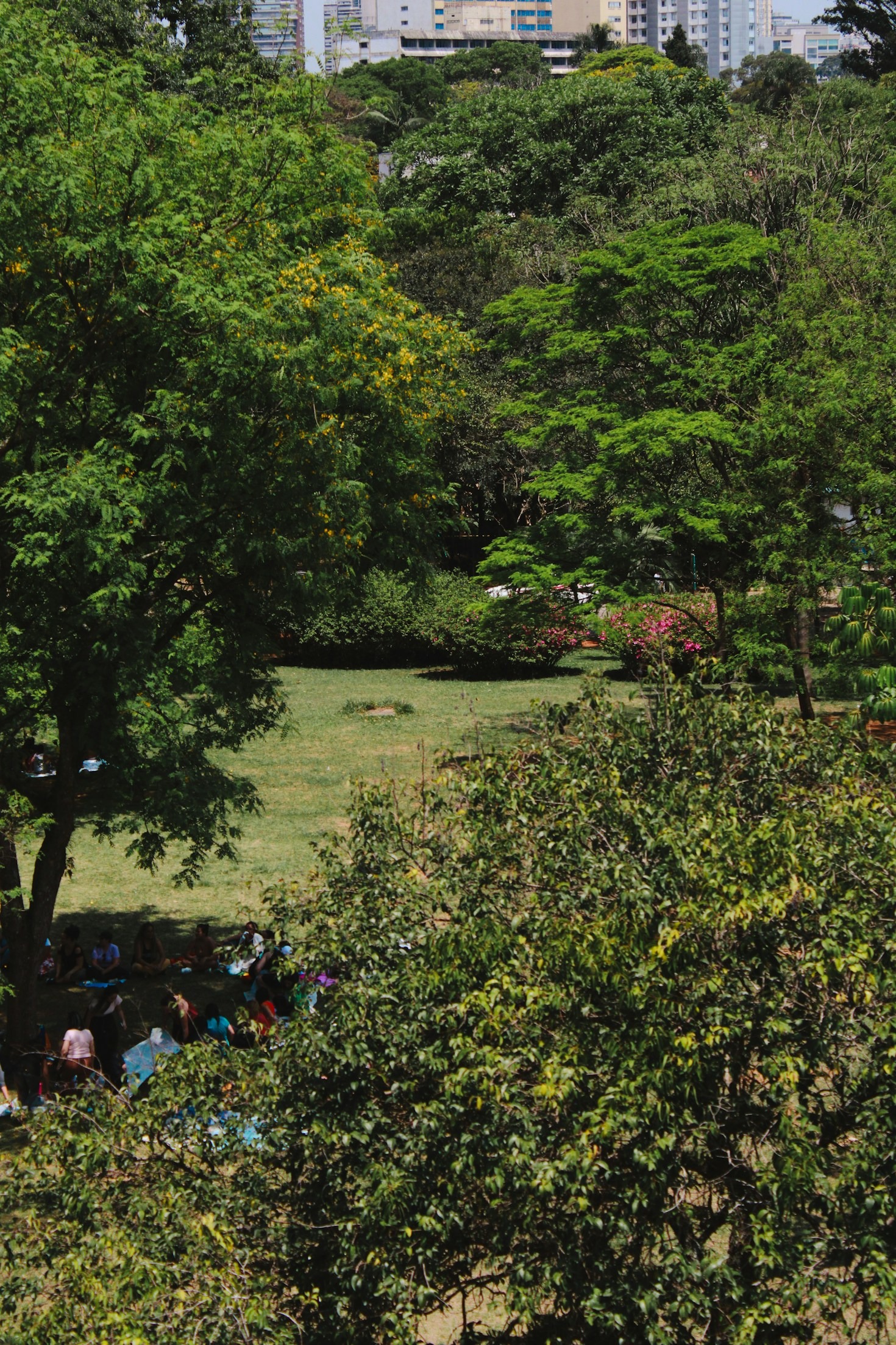 How Our Park Brings People Together